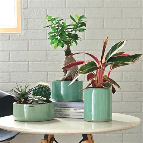 Buy Ugaoo Lilac Stories Ceramic Pot (Aqua Green) - Set Of Three Online ...