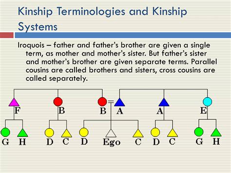 What Exactly Are The Degrees Of Kinship Explained