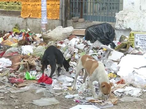 Patna Municipal Corporation workers' strike enters fourth day