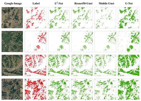 Mapping the Distribution and Dynamics of Coniferous Forests in Large ...