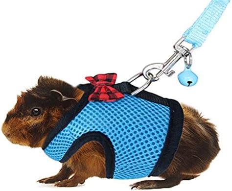 RYPET Guinea Pig Harness and Leash - Soft Mesh Small Pet Harness with ...