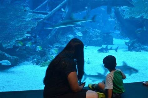 Anshu’s Fun & Frolic 8 Days Family Trip To Singapore