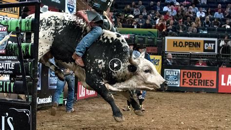 Best Bull Riding Bulls at Sophia Wiseman blog