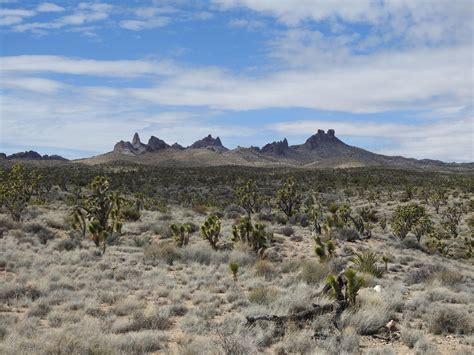 Castle Mountains National Monument, a California National Monument