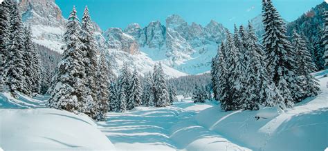 Image result for Image Matting Algorithm Python