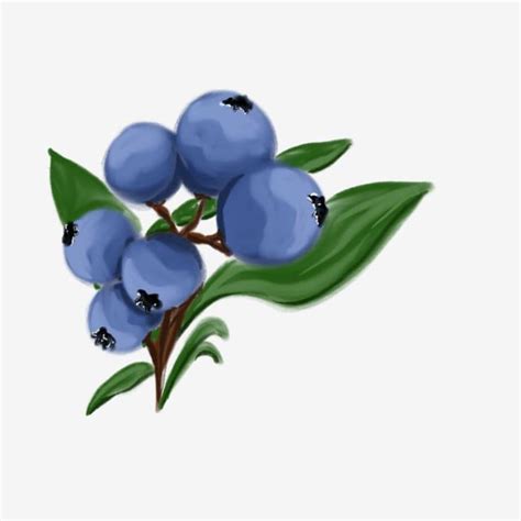 Image result for Extra Code Embedded in the File