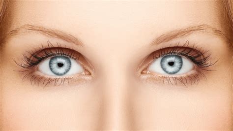 Image result for Eye Lashes Extension Types