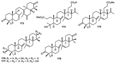 Fruit Peels: Food Waste as a Valuable Source of Bioactive Natural ...