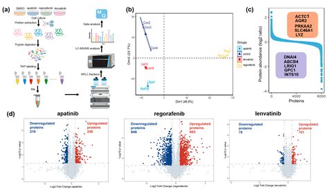 Proteomic Characterization of Liver Cancer Cells Treated with Clinical ...