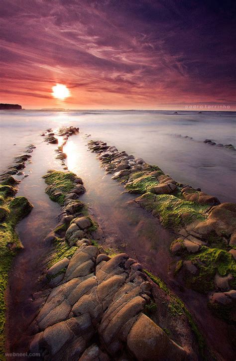 Photography in Nature 的图像结果