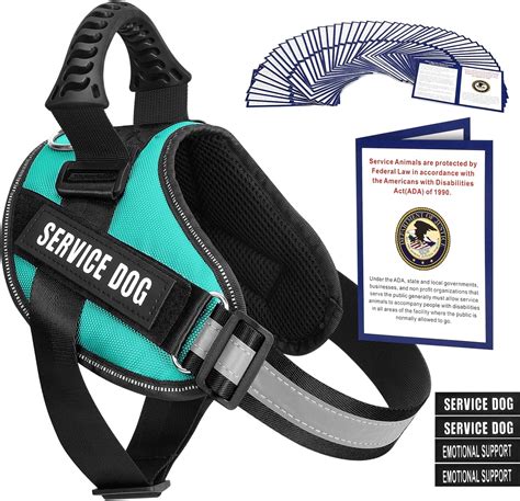Amazon.com : Service Dog Vest Harness + 50 ADA Information Cards + 4 ...