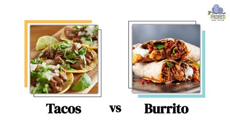 Enchilada vs. Burrito: 6 Key Differences and Basic Recipes