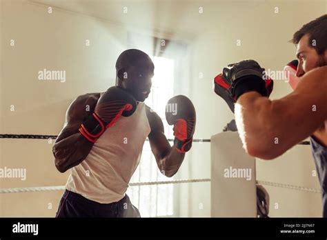 Boxing Sparring Partner 的图像结果