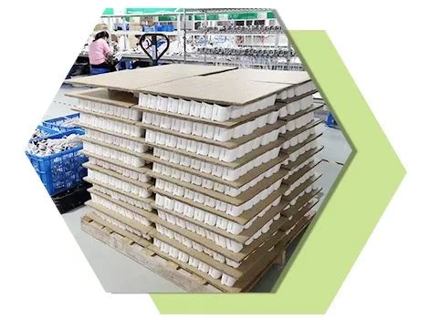 Company Overview - Tianjian Group Co., Ltd.