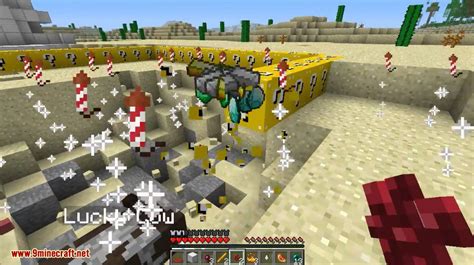 Image result for Lucky Block Mod 1.17 Java