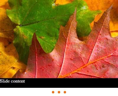 Image result for Fancy JavaScript