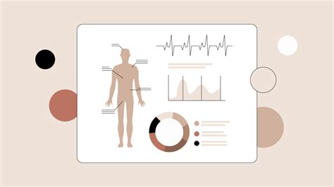 Image result for EHR System Implementation