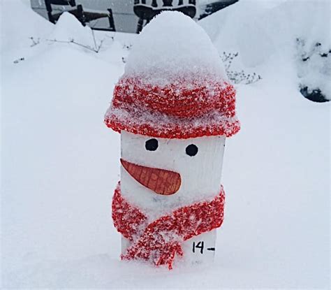 Snowman Measuring Stick 的图像结果