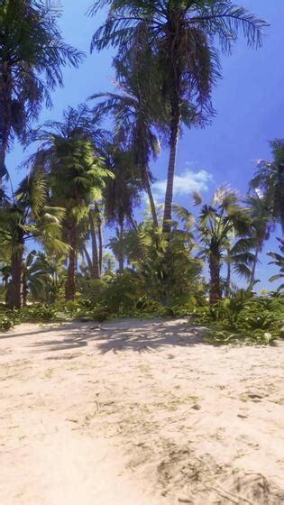 Beach Green screen 的图像结果