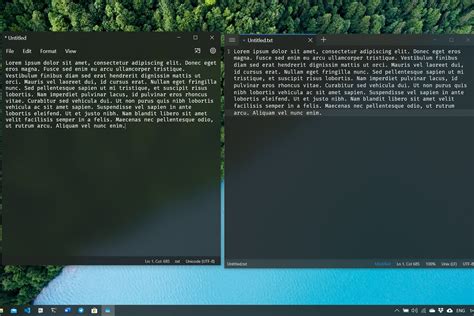 Notepad Options 的图像结果