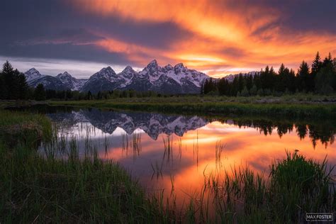 Photography in Nature 的图像结果