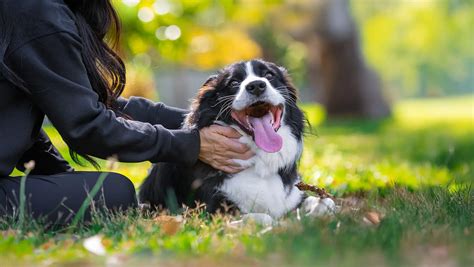 Image result for Cash Program Latest