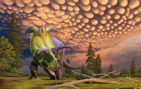 New horned dinosaur species discovered 'largest and most ornate' of its ...