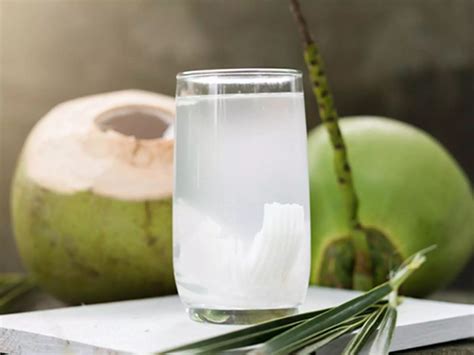 Agua de coco ¡Saludable y refrescante! - (Propiedades + beneficios)