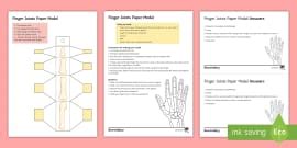 Joints and their Movements Worksheet- Science Worksheet