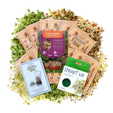 Amazon.com : 12 Variety Pack Organic Sprouting Seeds - Fully Raw ...