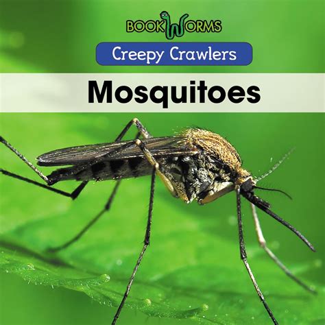 Buy Mosquitoes (Creepy Crawlers) Book Online at Low Prices in India ...