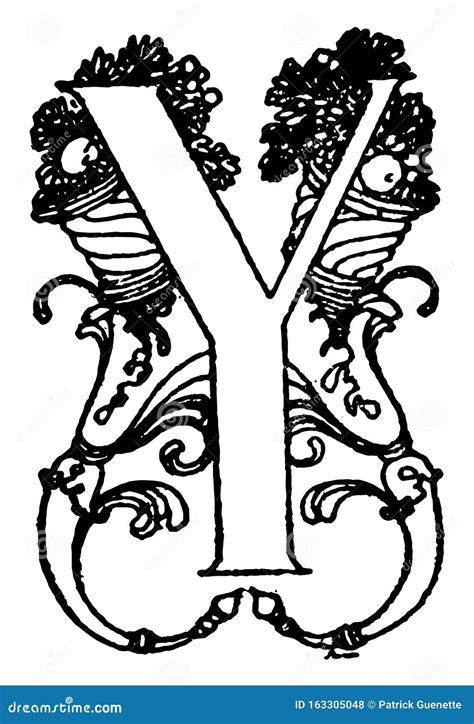 Narrow And Broad Antonyms Word Card Flat Vector Template. Flashcard For ...