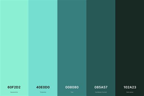 25+ Best Turquoise Color Palettes with Names and Hex Codes