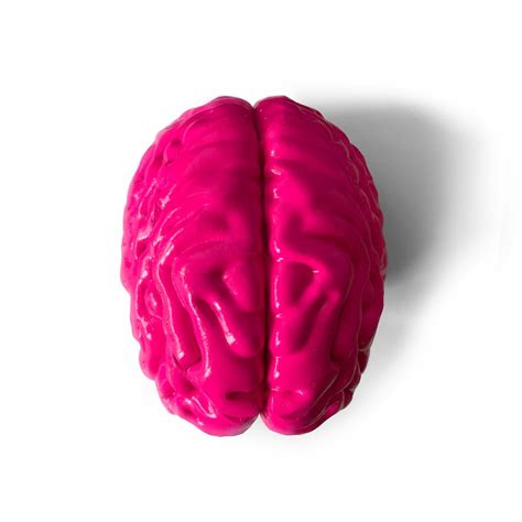 Scatter Brain (Pink) | Limited Edition Collectible by Sid G (toosid ...