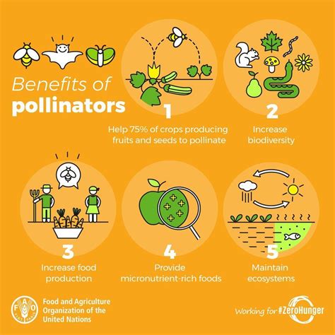 Pollination Importance 的图像结果