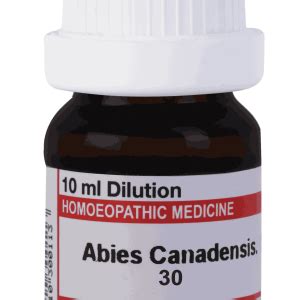 Abies Canadensis. 30