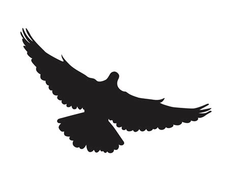 Bird - flying dove silhouette 12904405 PNG - silhouette of birds flying