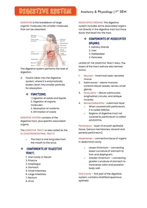 Image result for Digestive System Lecture