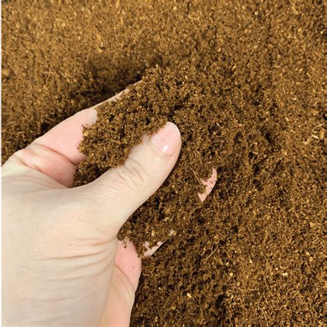 Jiffy Seed Starting Mix, Compressed 100% Coco Coir Soil Expands to 10QT ...