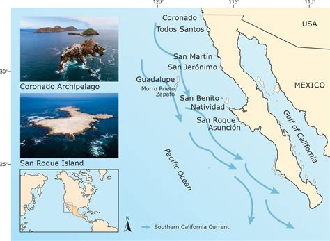 Guadalupe Island Map