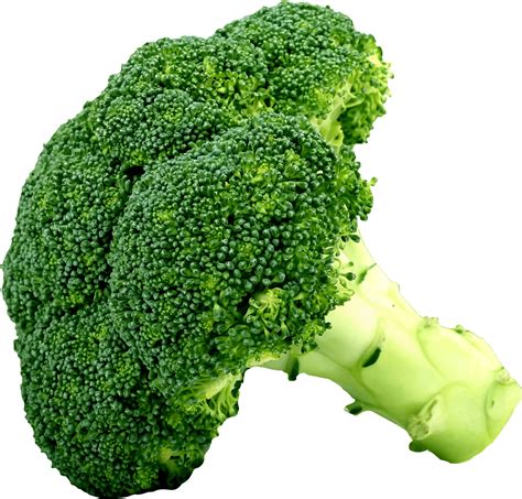 Broccoli clipart, Broccoli Transparent FREE for download on ...