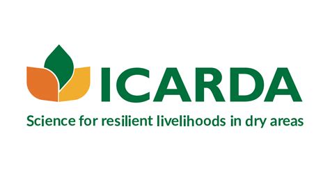 Institute Research Project – iiwbr