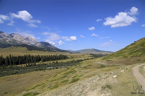 Долина Текес, ущелье Текес, река Текес, водопад Текес » WildTicket Asia ...