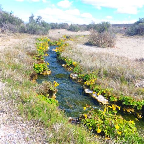 Surprise Valley Hot Springs - Cedarville, California - Top Hot Springs