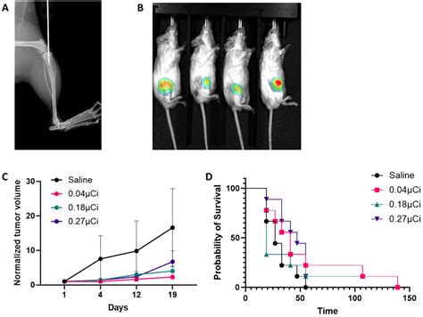 Preclinical Evaluation of Radium-223 and Immune Checkpoint Inhibitors ...