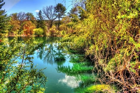 Spring Water Pond 的图像结果