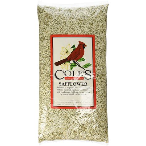 Cole's Wild Bird Products Safflower Bird Seed - everyelements
