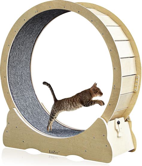 Amazon.com: VEVOR Cat Wheel Exerciser for Indoor Cats, 52 inch Extra ...