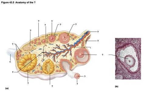 Rezultat imagine pentru Code Lesson 10 Part 14