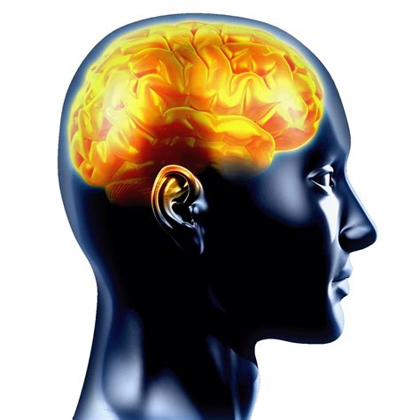 Alpha Mind Trainer - Passion for Life by Gerald Epling What inspires ...